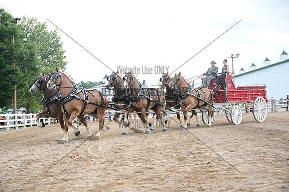 AJB_0575