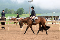 AJB_6250