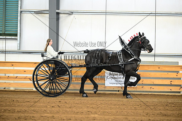 AJB_8222