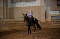 Mule Under Saddle