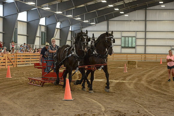 Draft Horse Feed Scurry Race-19