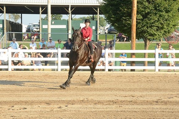 Open Riding_wtc-8