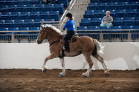 KILE_10052024_SCL6379