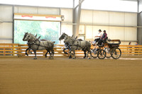 Four Horse Hitch-8