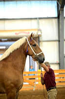 AJB_5944