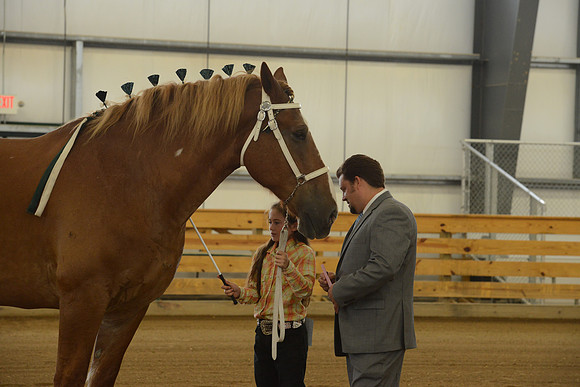 Jr. Youth Showmanship-28