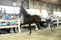 AJB_0682