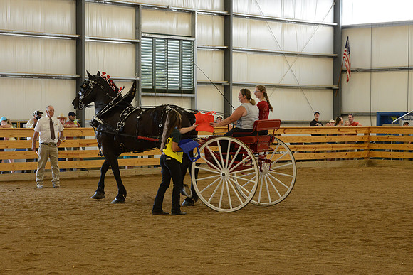 Sr. Youth Cart-30