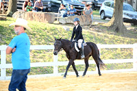AJB_1524