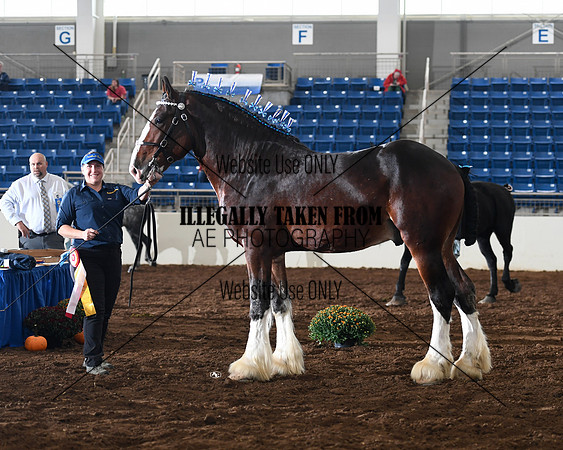 c.harmon_3035