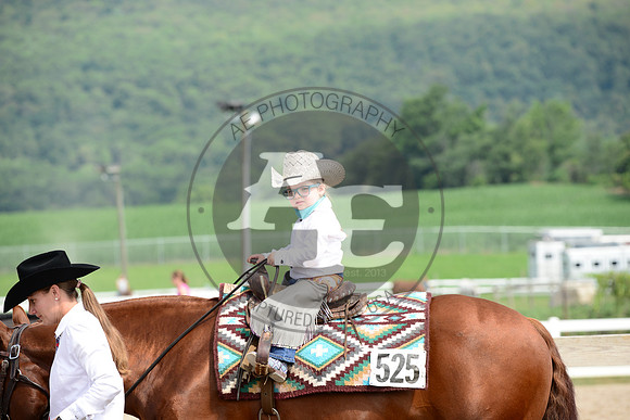 AJB_4348