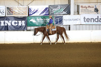 149. All Breed Walk Jog Working Western Rail