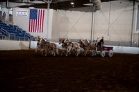 Draft Pony - SHHCS