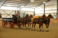 Four Horse Hitch-14