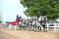 AJB_0448