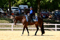 AJB_2667