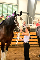 AJB_7163