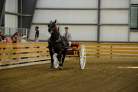 Men’s Cart_percherons-9