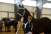 Jr. Youth Showmanship