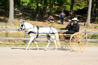 AJB_0521