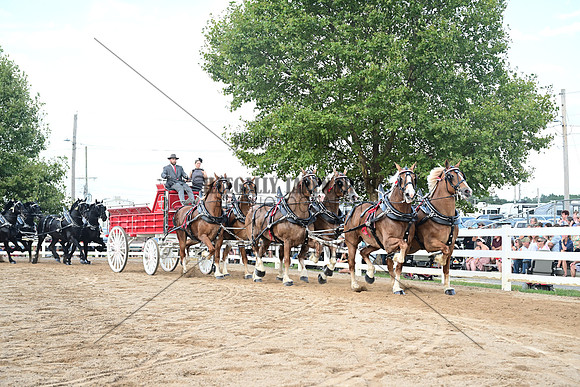 AJB_0607