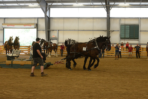 Farm Team-49