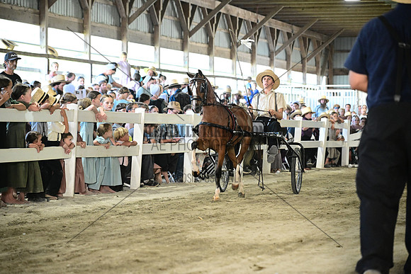 AJB_0114
