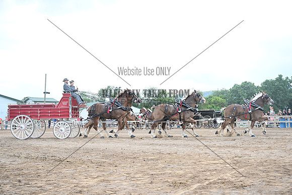 AJB_0598