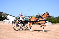 AJB_4544