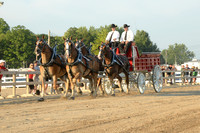 Four Horse Hitch_Amateur_youth-4