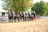 AJB_0537