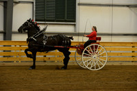 Ladies Cart_Percheron-3
