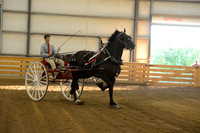 Men’s Cart_percherons-12