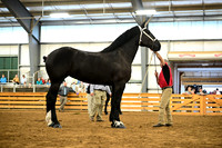 AJB_6257