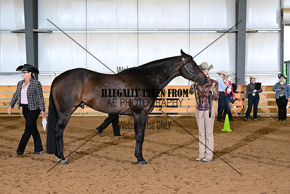 ASH_0765