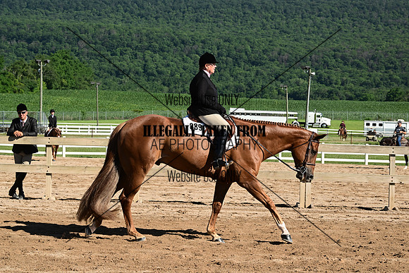 AB2_0233