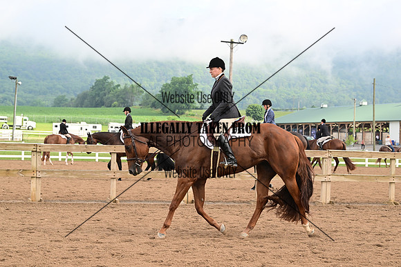 AJB_6329