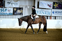 Small Fry Hunter Under Saddle