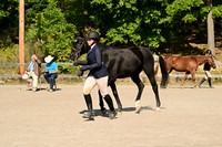 AJB_0364