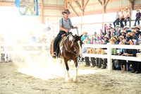 AJB_0538