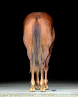 Chex_PSU2_4210