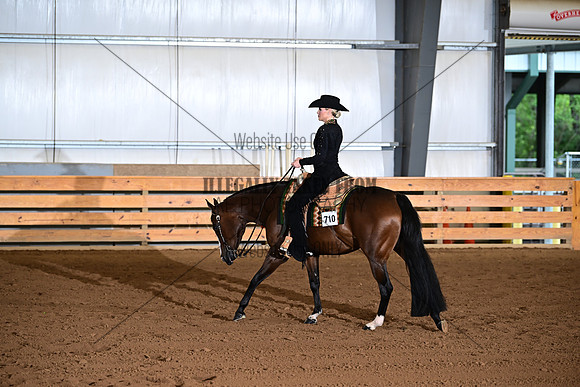 ASH_2012
