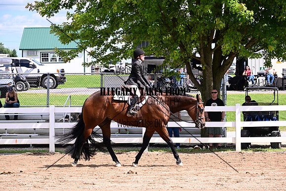 ASH_9229