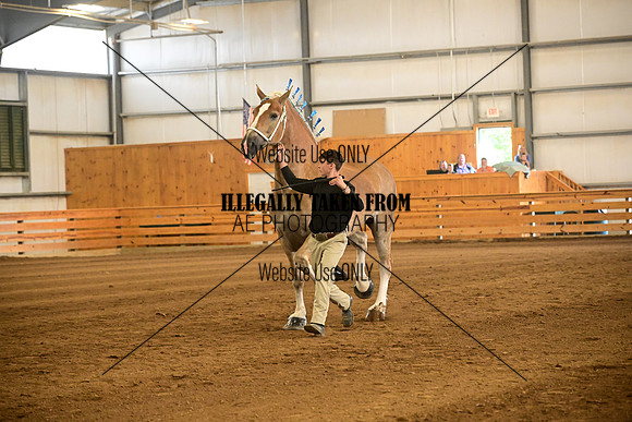 AJB_7351
