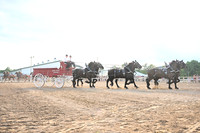 AJB_0547