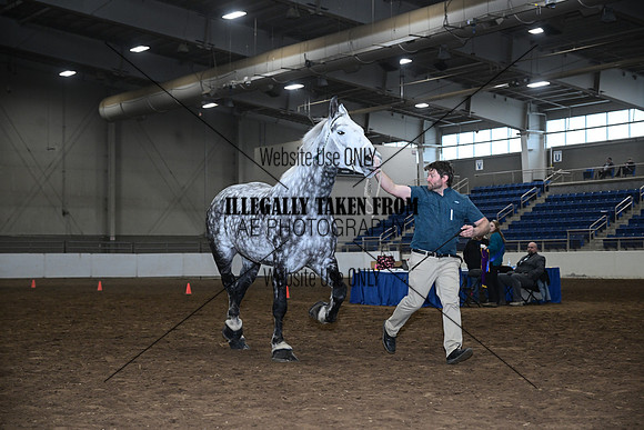 ASH_0498