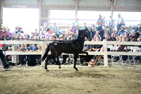 AJB_0279