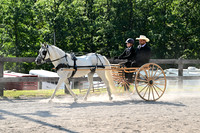 AJB_0517