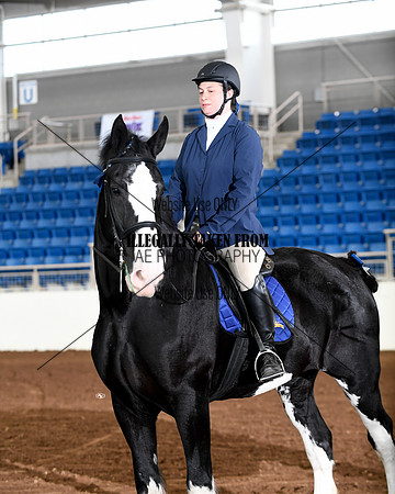 shires_6306