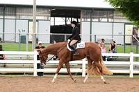 AJB_6318